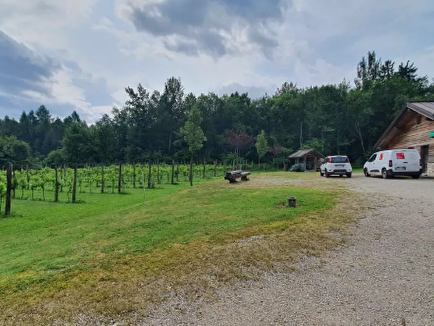 Immagine 1 di Terreno in vendita  in Novegno a Arsie'