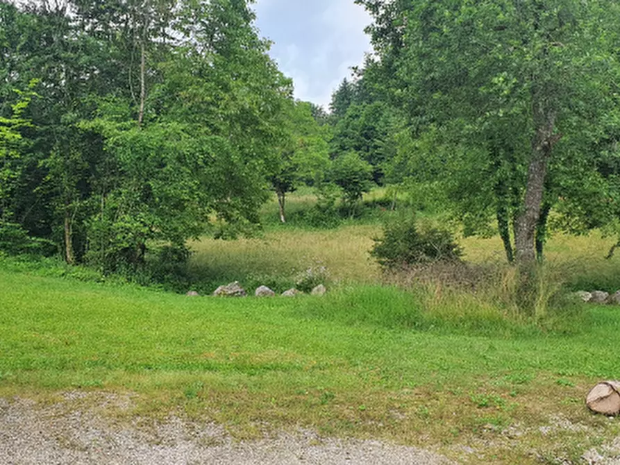 Immagine 10 di Terreno in vendita  in Novegno a Arsie'