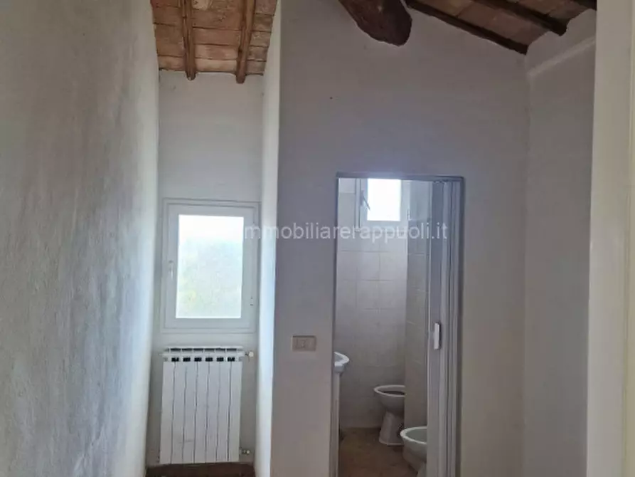 Immagine 4 di Casa indipendente in vendita  a Montepulciano