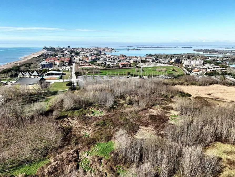 Immagine 4 di Terreno in vendita  in Via Monfalcone - Località Sacca dei Moreri, N. snc a Grado