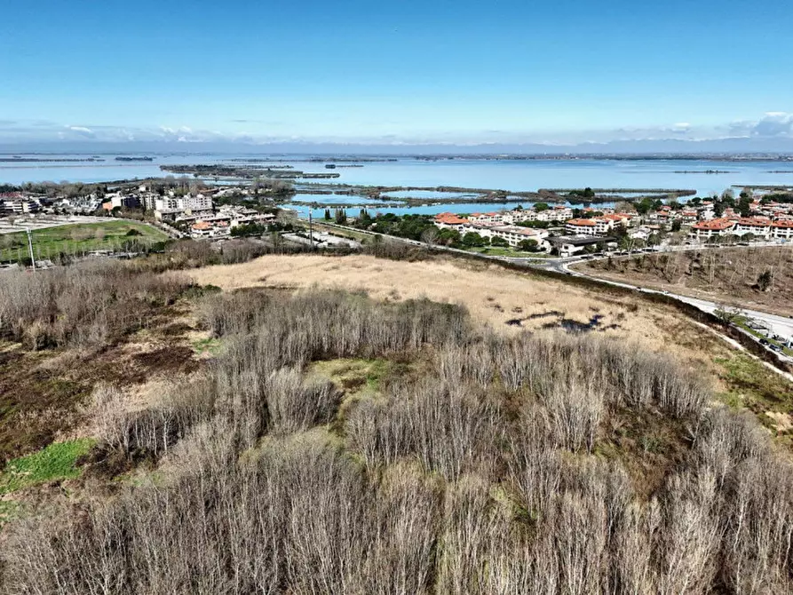 Immagine 5 di Terreno in vendita  in Via Monfalcone - Località Sacca dei Moreri, N. snc a Grado