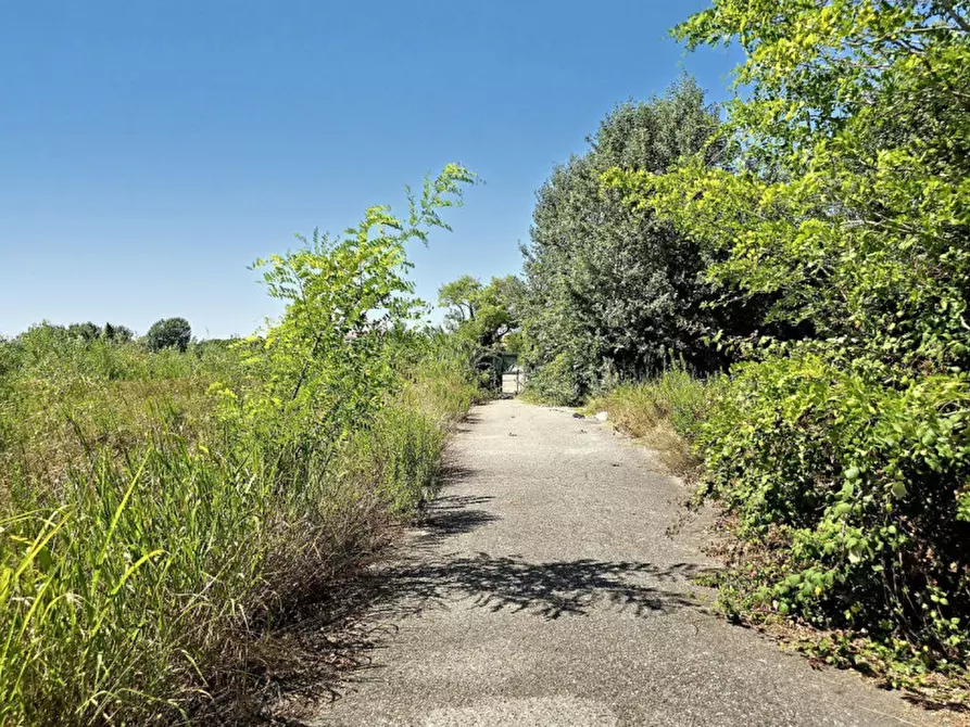 Immagine 7 di Terreno in vendita  in Via Monfalcone - Località Sacca dei Moreri, N. snc a Grado