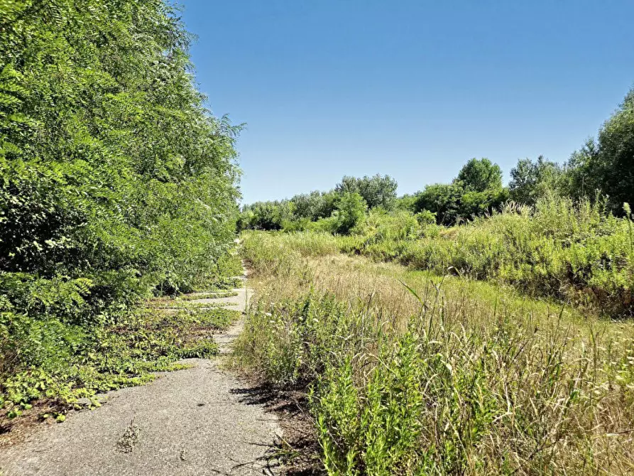 Immagine 8 di Terreno in vendita  in Via Monfalcone - Località Sacca dei Moreri, N. snc a Grado