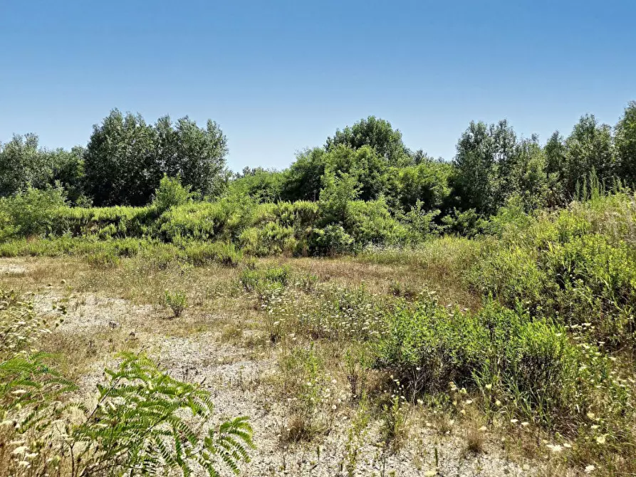 Immagine 9 di Terreno in vendita  in Via Monfalcone - Località Sacca dei Moreri, N. snc a Grado