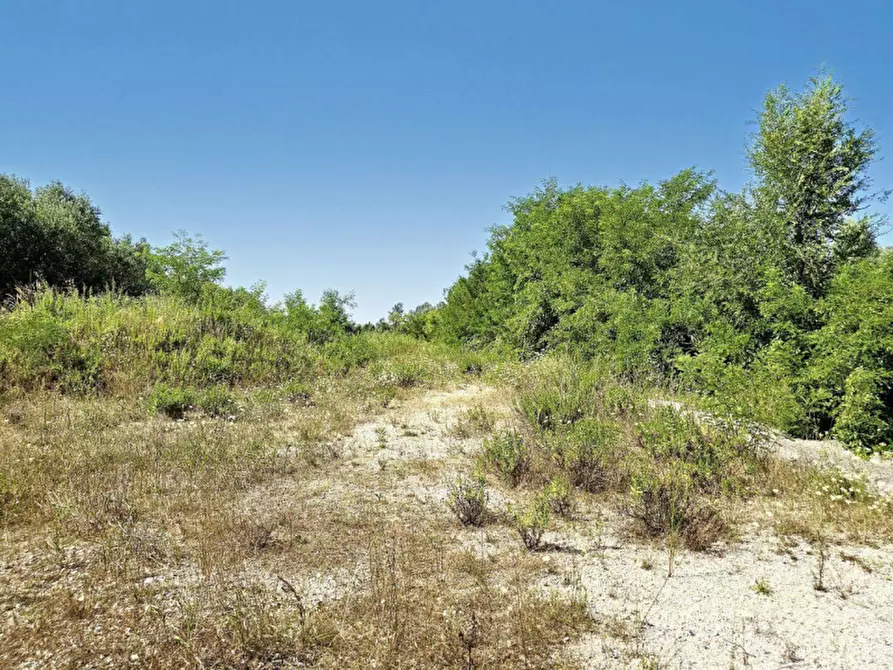 Immagine 10 di Terreno in vendita  in Via Monfalcone - Località Sacca dei Moreri, N. snc a Grado