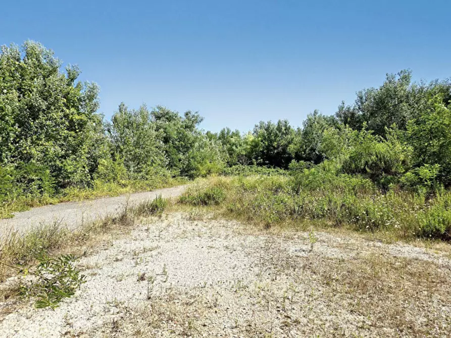 Immagine 11 di Terreno in vendita  in Via Monfalcone - Località Sacca dei Moreri, N. snc a Grado