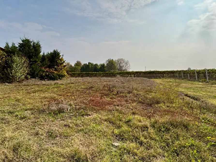 Immagine 10 di Capannone industriale in affitto  a Soliera