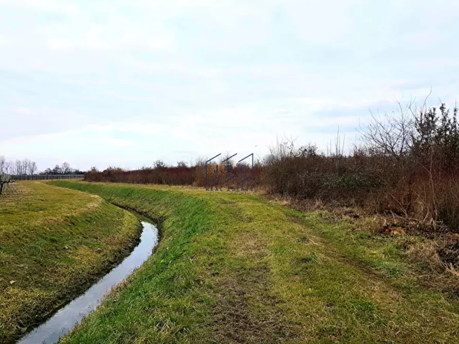 Immagine 2 di Terreno in vendita  in Via Gattolè a Salgareda