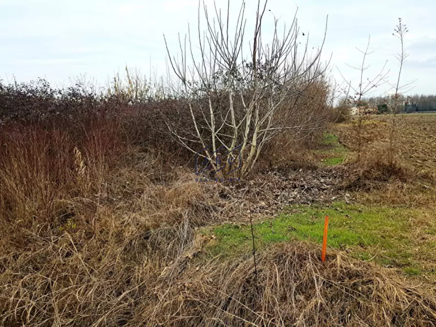Immagine 4 di Terreno in vendita  in Via Gattolè a Salgareda