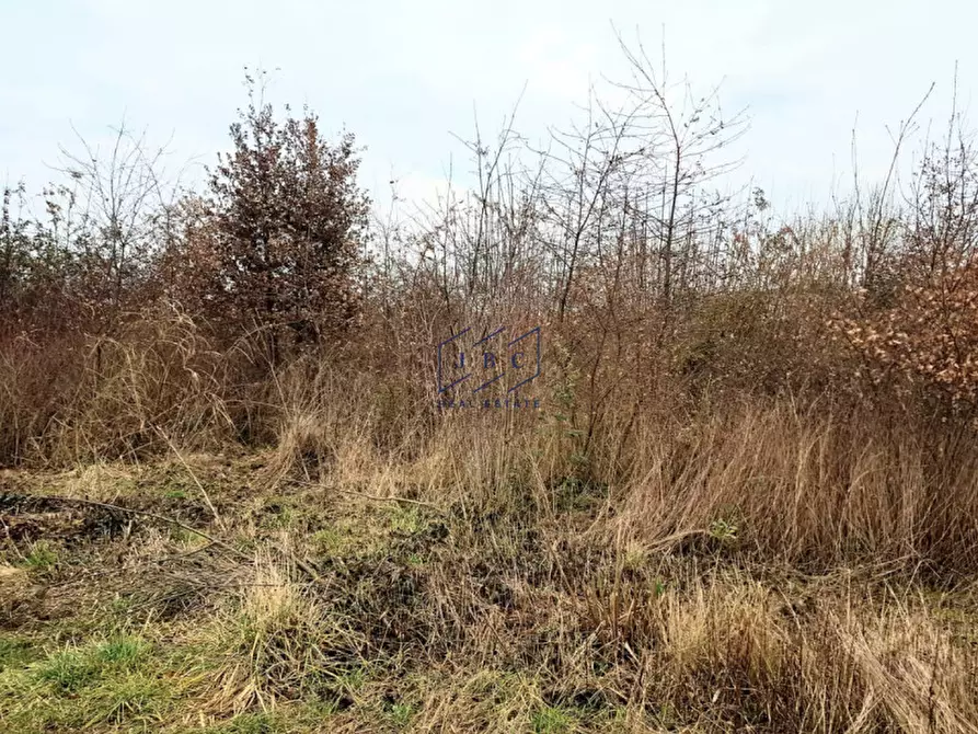 Immagine 5 di Terreno in vendita  in Via Gattolè a Salgareda