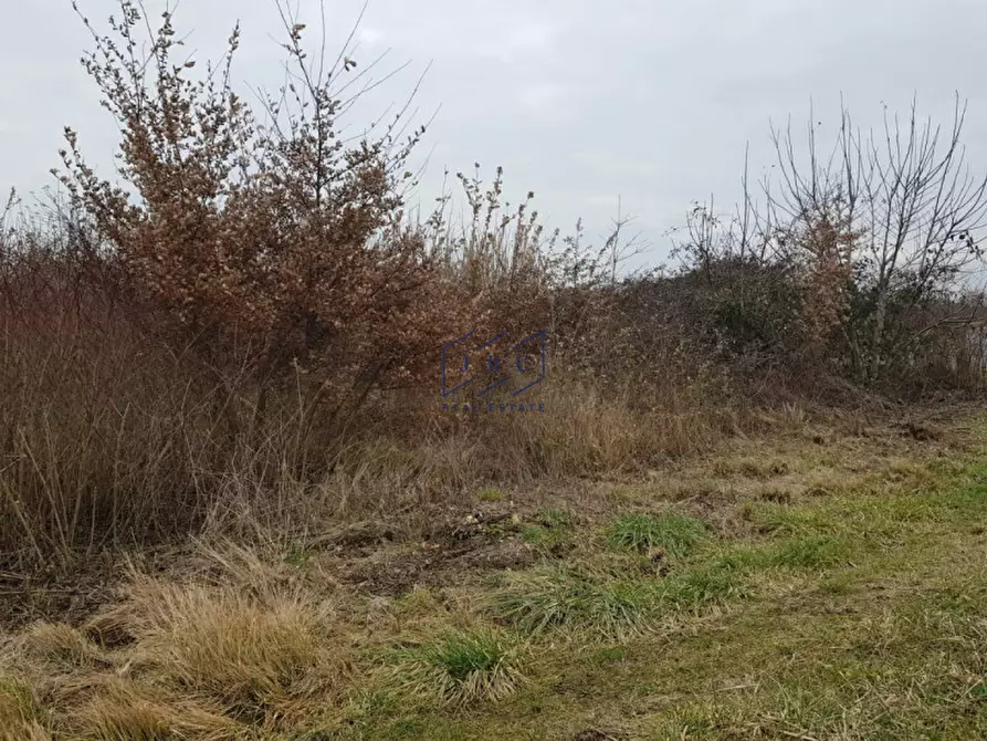 Immagine 6 di Terreno in vendita  in Via Gattolè a Salgareda