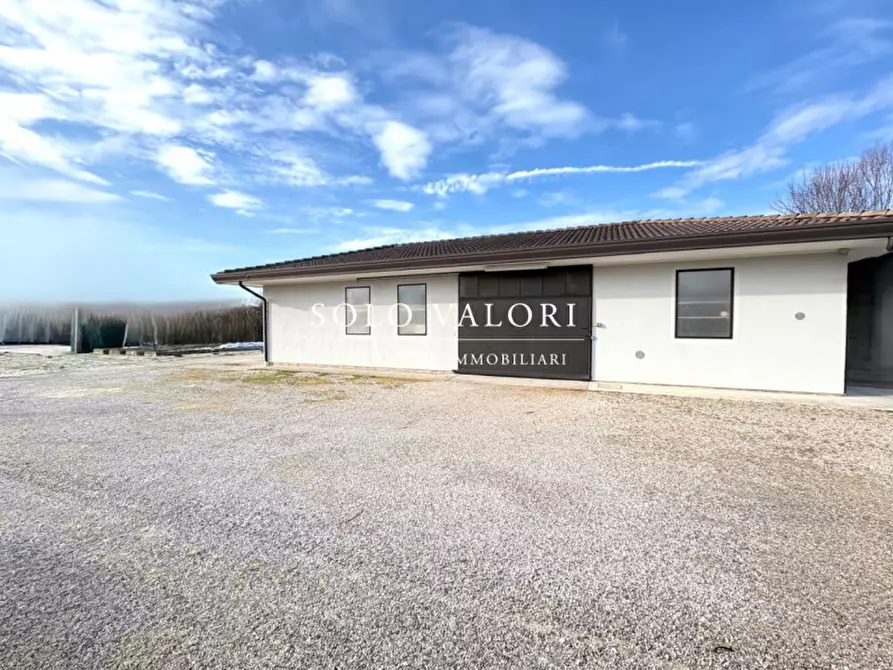 Immagine 1 di Magazzino in vendita  a Piombino Dese