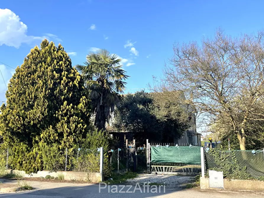 Immagine 3 di Casa bifamiliare in vendita  in Via Guglielmo Marconi a Campolongo Maggiore