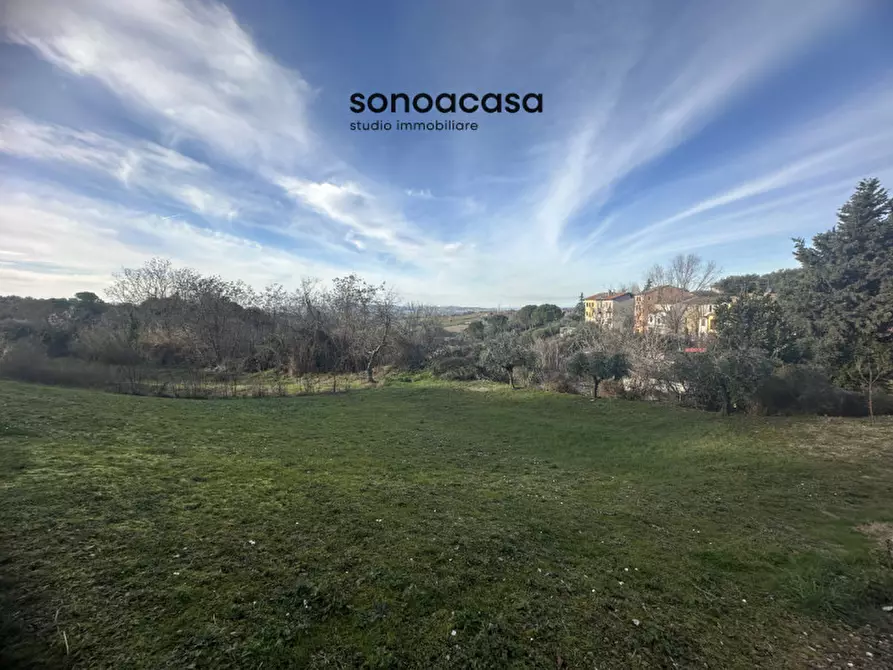 Immagine 5 di Terreno in vendita  in Via Palmiro Togliatti a San Costanzo