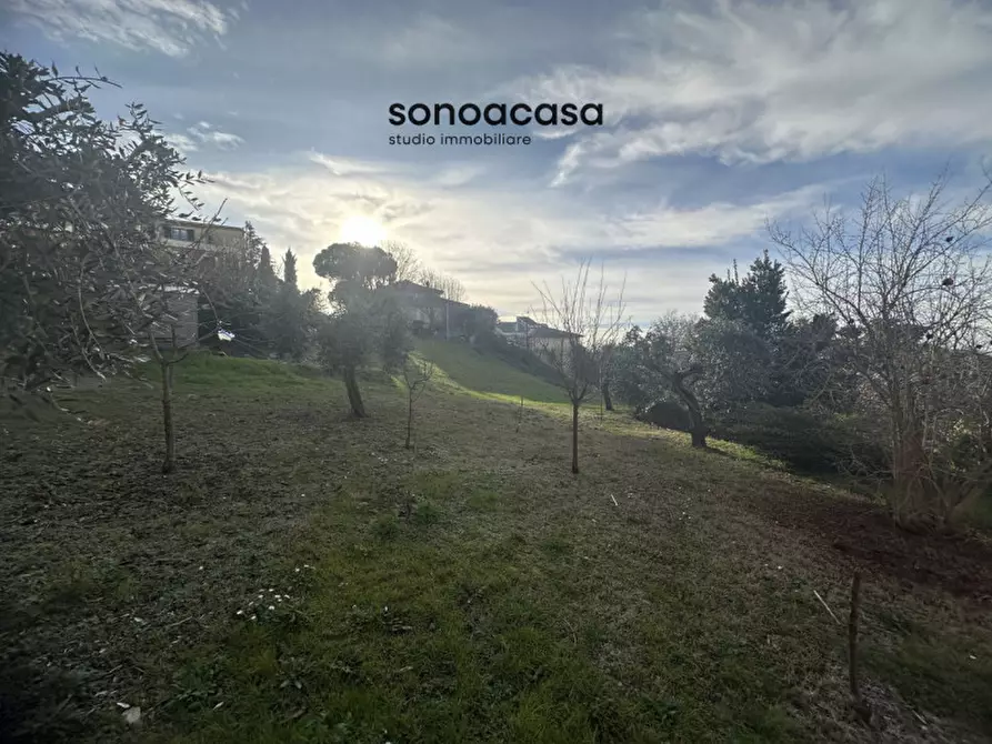 Immagine 6 di Terreno in vendita  in Via Palmiro Togliatti a San Costanzo