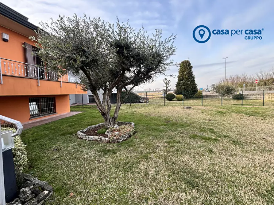 Immagine 2 di Casa bifamiliare in vendita  in Via Roma a Boara Pisani