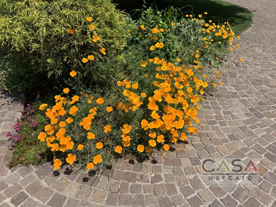 Immagine 37 di Villa in vendita  in Via Pionieri dell'Aria a Roveredo In Piano