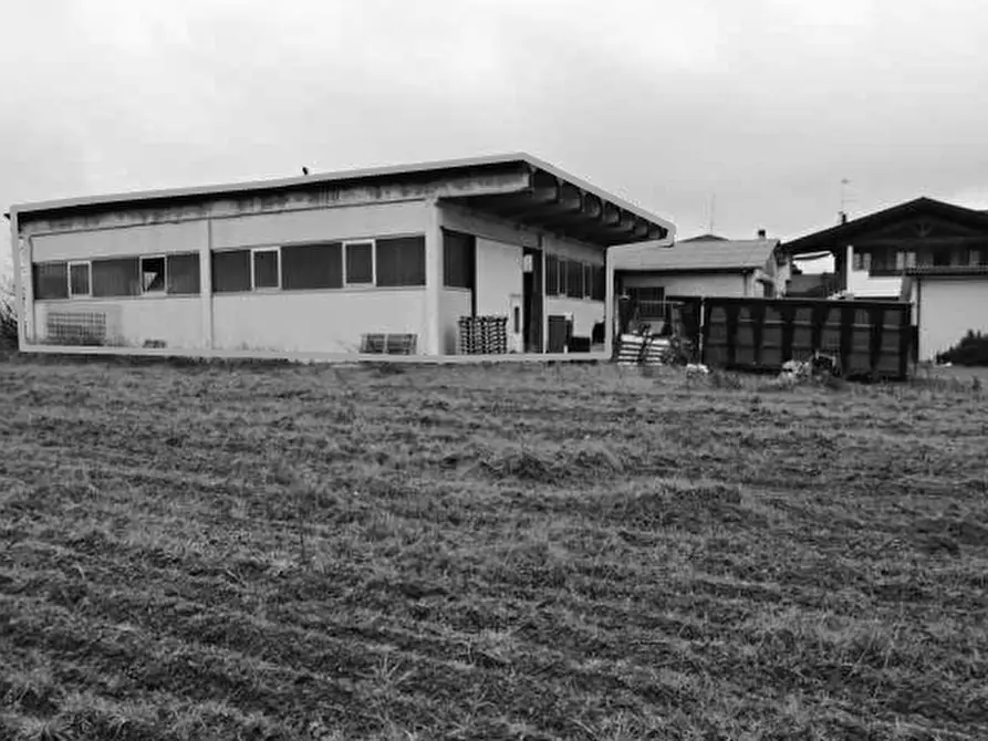 Immagine 2 di Capannone industriale in vendita  in Via Oppioli 34 a Cerea