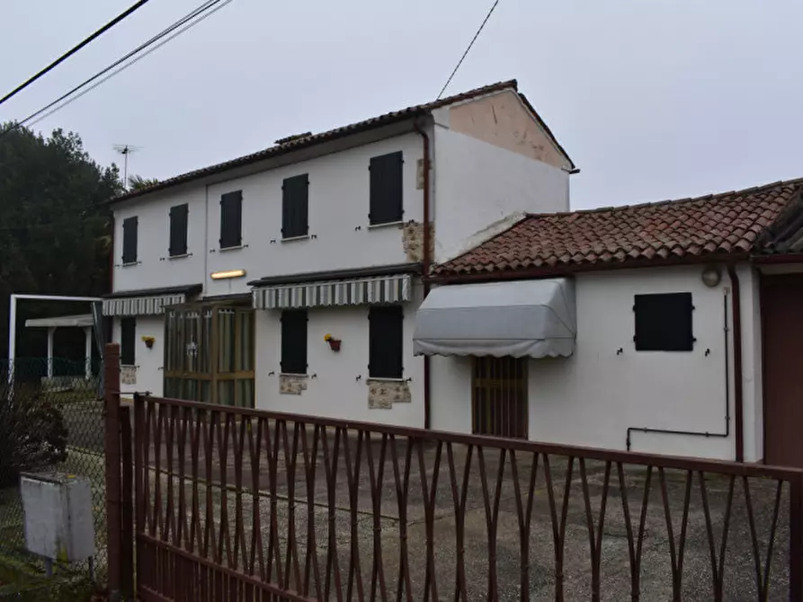 Immagine 3 di Casa indipendente in vendita  a Terrassa Padovana