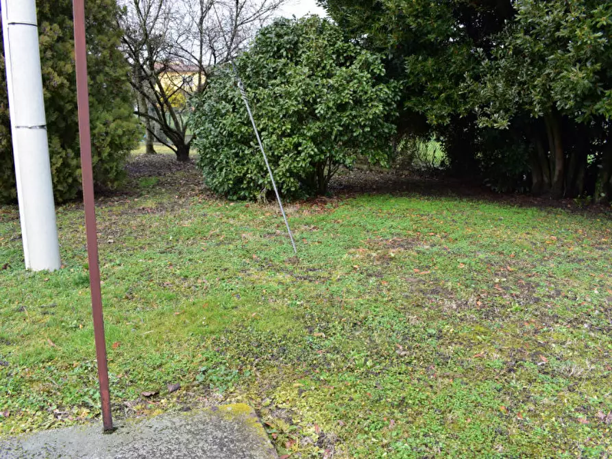 Immagine 4 di Casa indipendente in vendita  a Terrassa Padovana