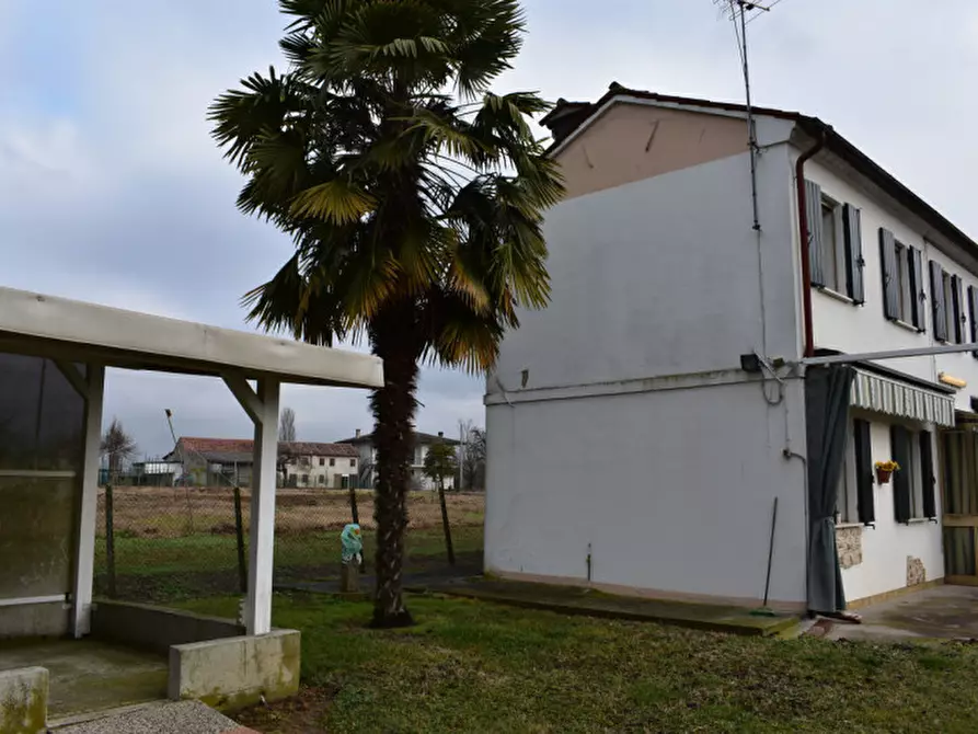 Immagine 36 di Casa indipendente in vendita  a Terrassa Padovana