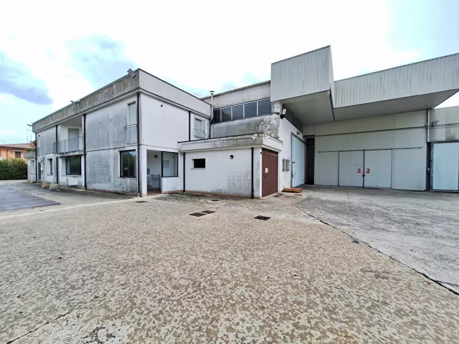 Immagine 3 di Capannone industriale in vendita  in Via dell'Artigianato a Villadose