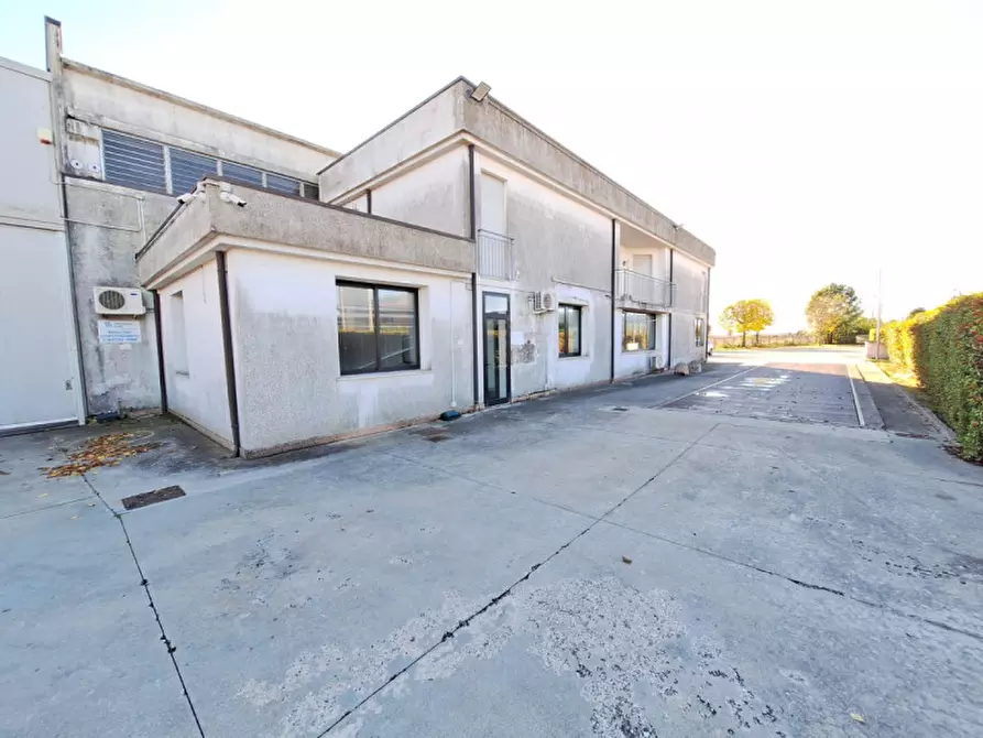 Immagine 4 di Capannone industriale in vendita  in Via dell'Artigianato a Villadose