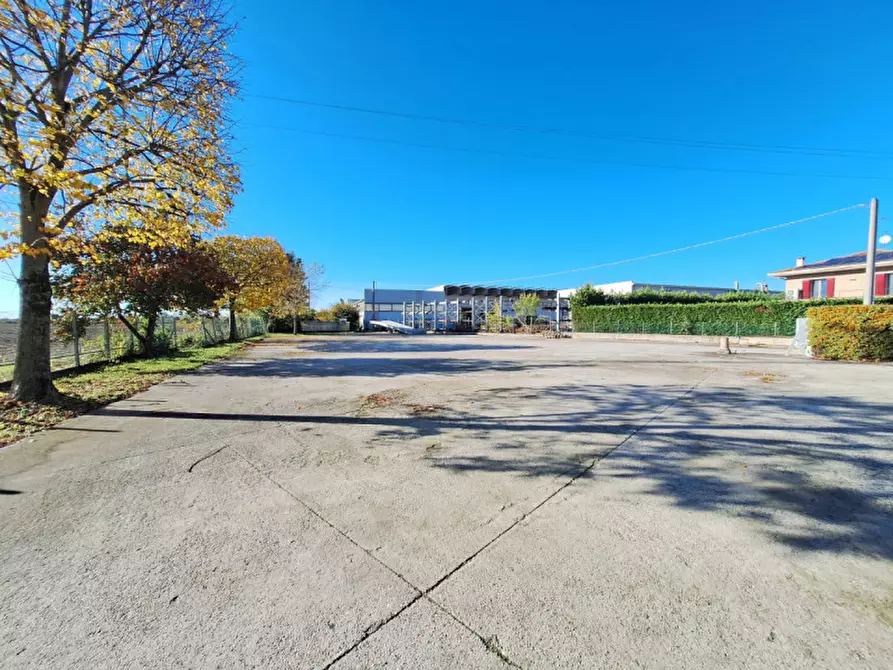 Immagine 6 di Capannone industriale in vendita  in Via dell'Artigianato a Villadose