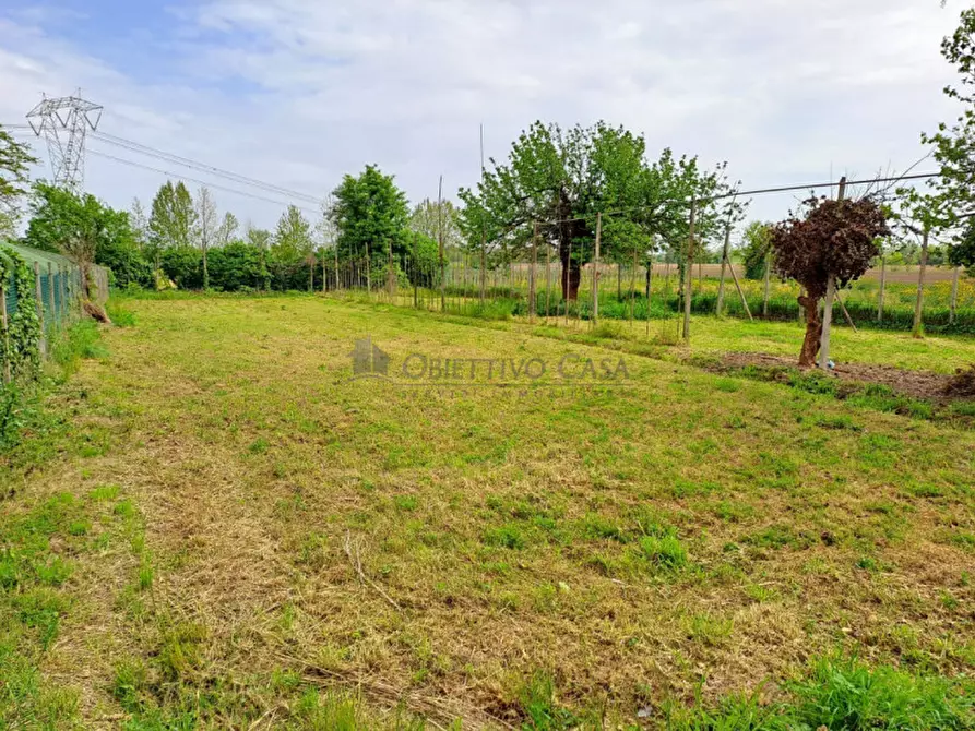 Immagine 33 di Casa bifamiliare in vendita  in Via don Luigi Sturzo a Sant'angelo Di Piove Di Sacco