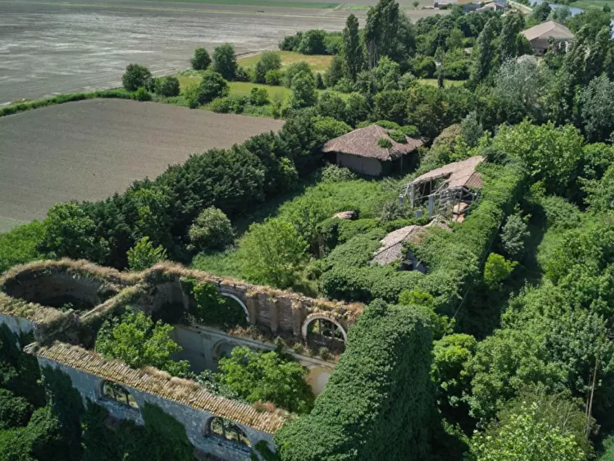 Immagine 4 di Terreno in vendita  in Via Canal bianco, 45017 Retinella RO, Italia a Loreo