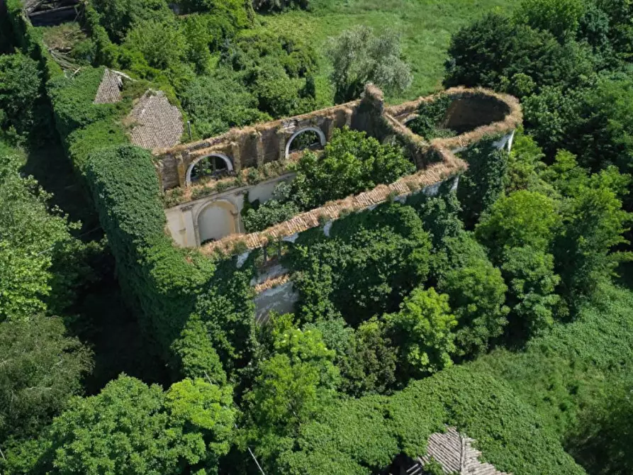 Immagine 5 di Terreno in vendita  in Via Canal bianco, 45017 Retinella RO, Italia a Loreo