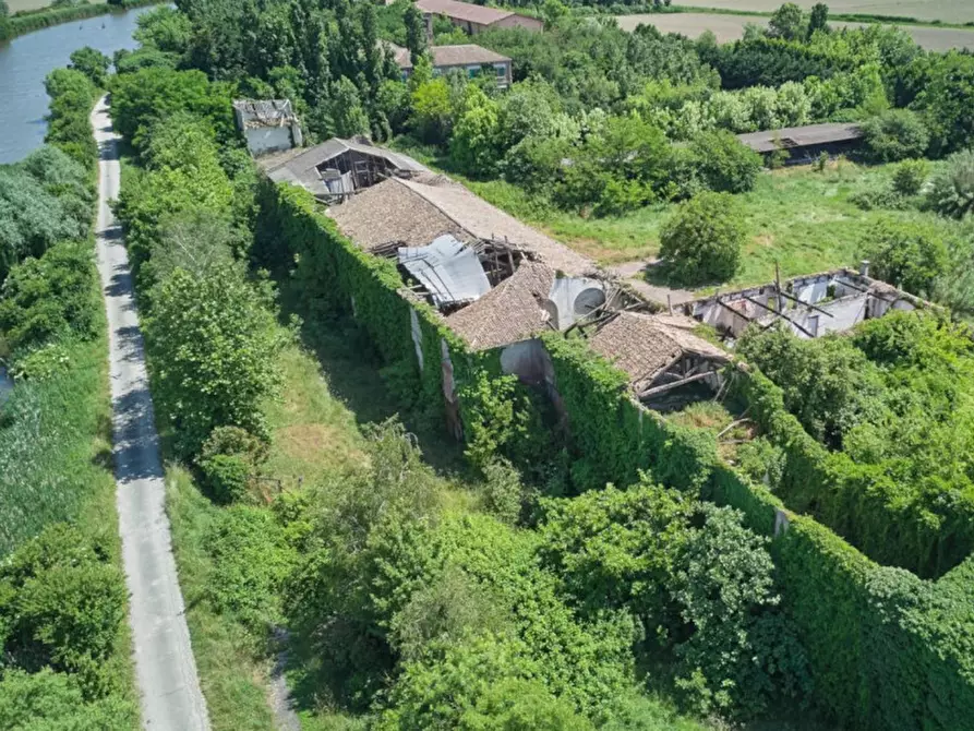 Immagine 7 di Terreno in vendita  in Via Canal bianco, 45017 Retinella RO, Italia a Loreo