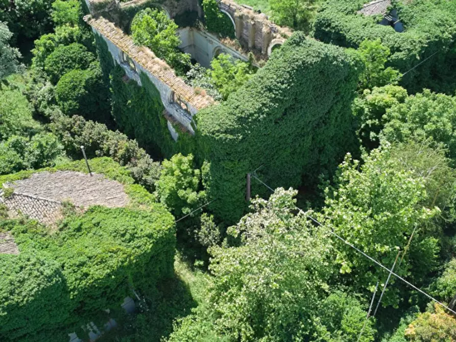 Immagine 9 di Terreno in vendita  in Via Canal bianco, 45017 Retinella RO, Italia a Loreo