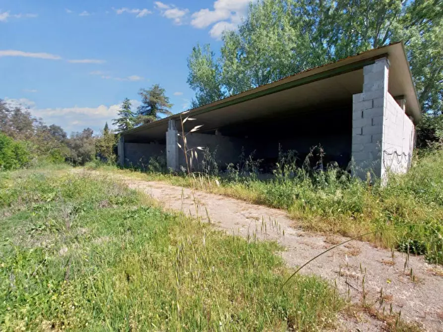 Immagine 20 di Rustico / casale in vendita  in Via della Giustiniana, N. 405 a Roma