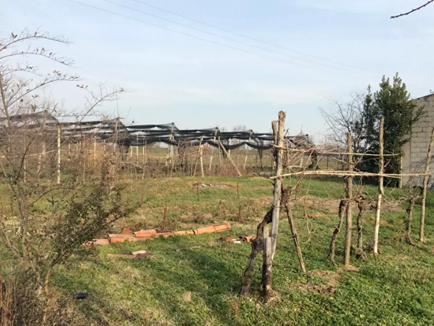 Immagine 14 di Rustico / casale in vendita  in Loc. Casa Cristo a Villafranca Di Verona