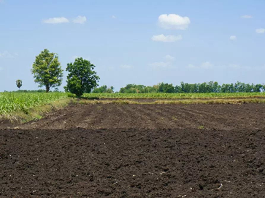 Immagine 8 di Terreno in vendita  in Via Monte pasubio a Brendola