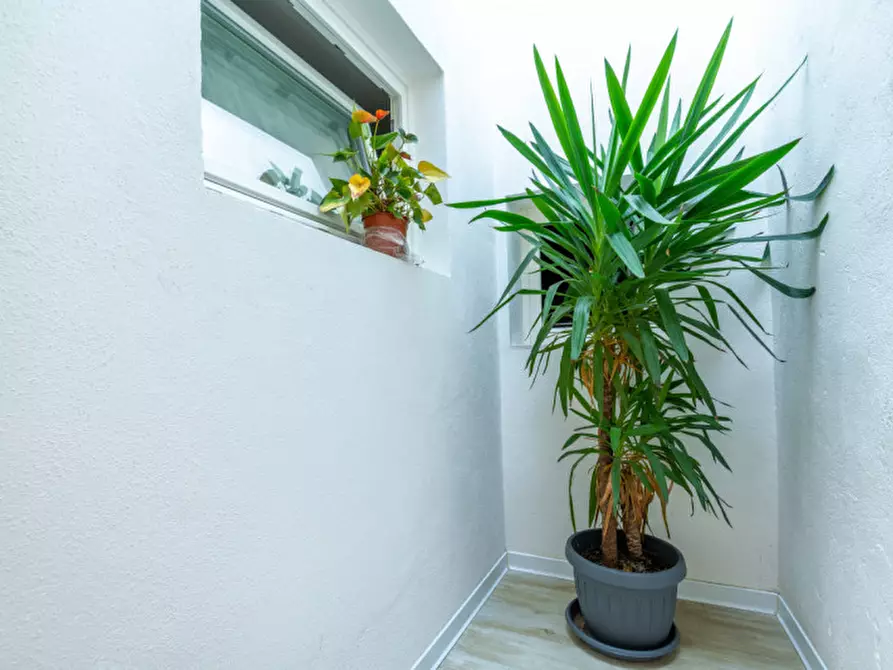 Immagine 10 di Appartamento in affitto  in Vicenza Contrà Busato a Vicenza