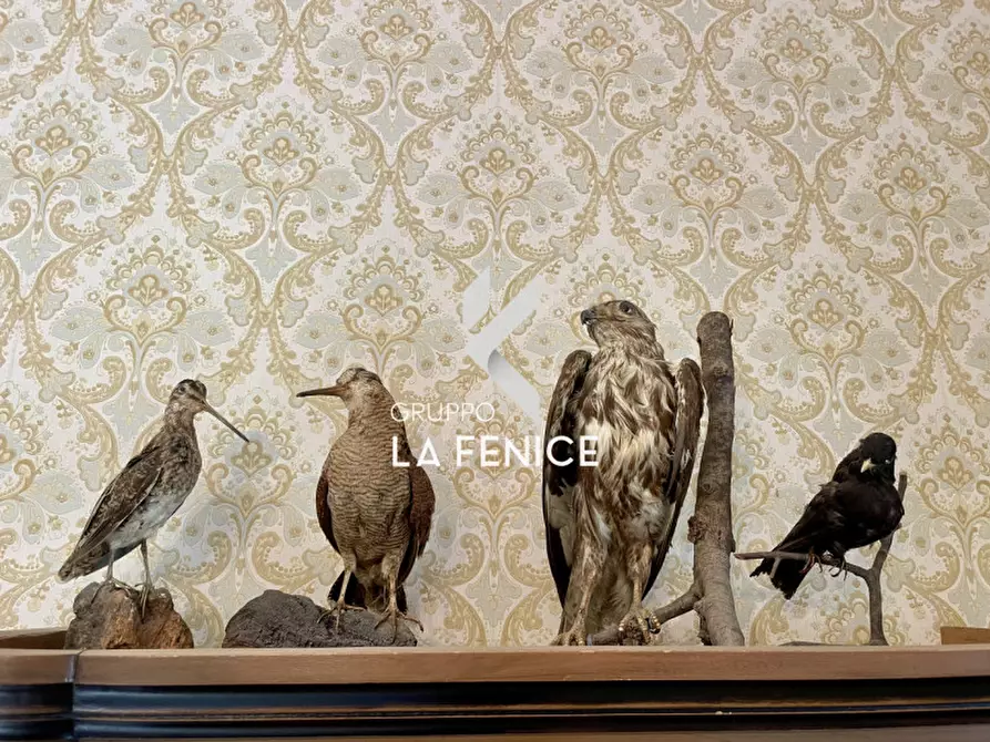 Immagine 37 di Casa bifamiliare in vendita  in contrada pantaleo a Locorotondo