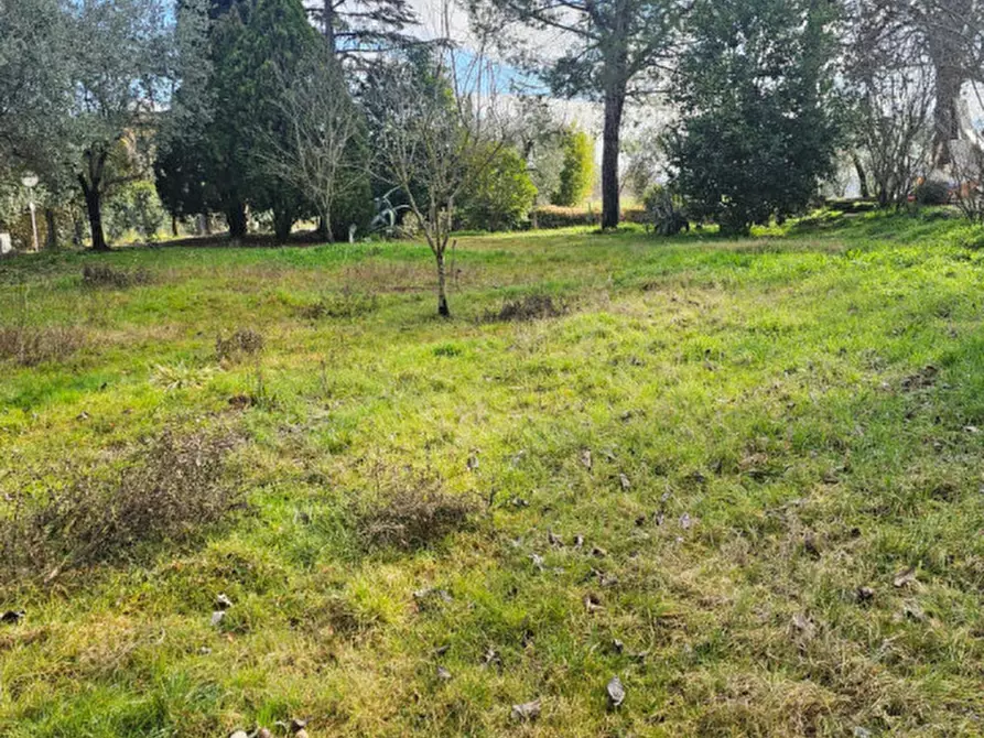 Immagine 4 di Casa indipendente in vendita  a Torrita Di Siena