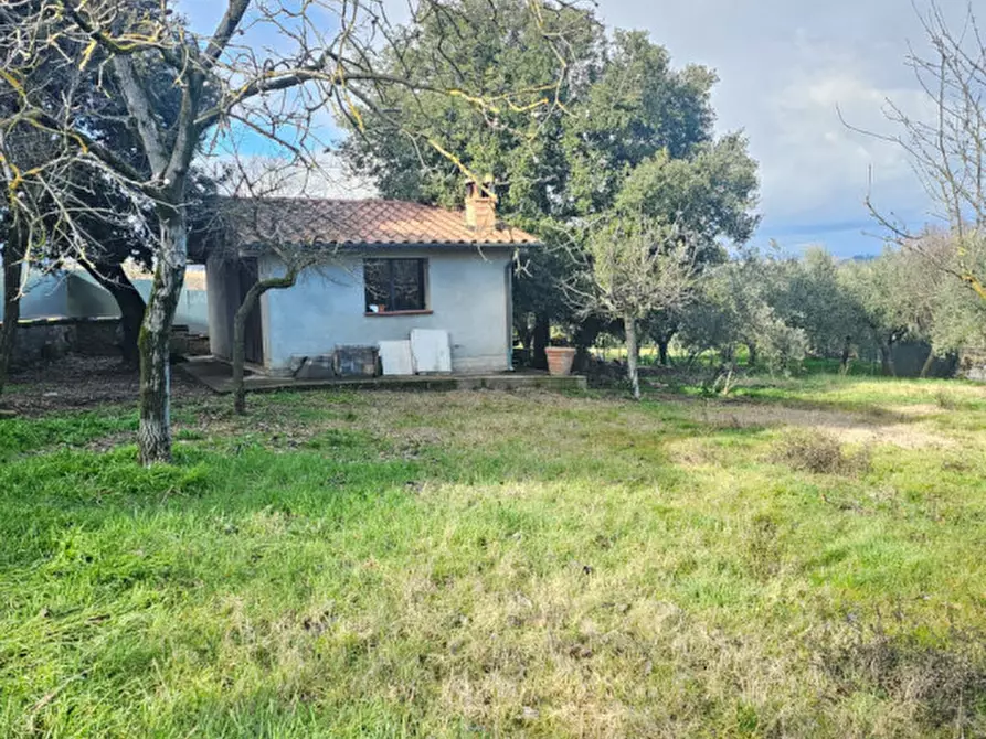 Immagine 5 di Casa indipendente in vendita  a Torrita Di Siena