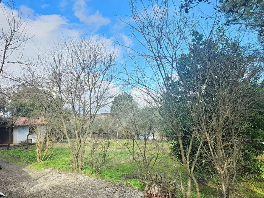 Immagine 9 di Casa indipendente in vendita  a Torrita Di Siena