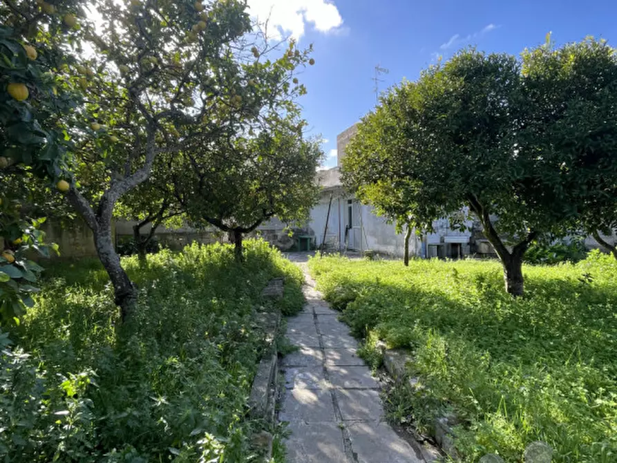 Immagine 5 di Casa indipendente in vendita  in Via Vernole a Vernole