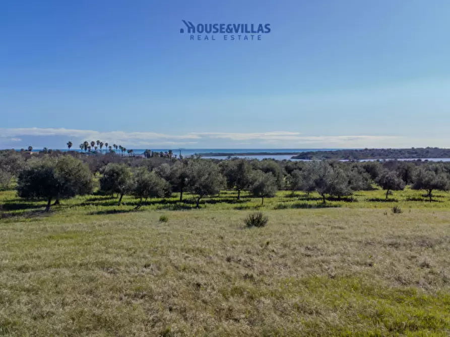 Immagine 1 di Villa in vendita  in vendicari noto a Noto