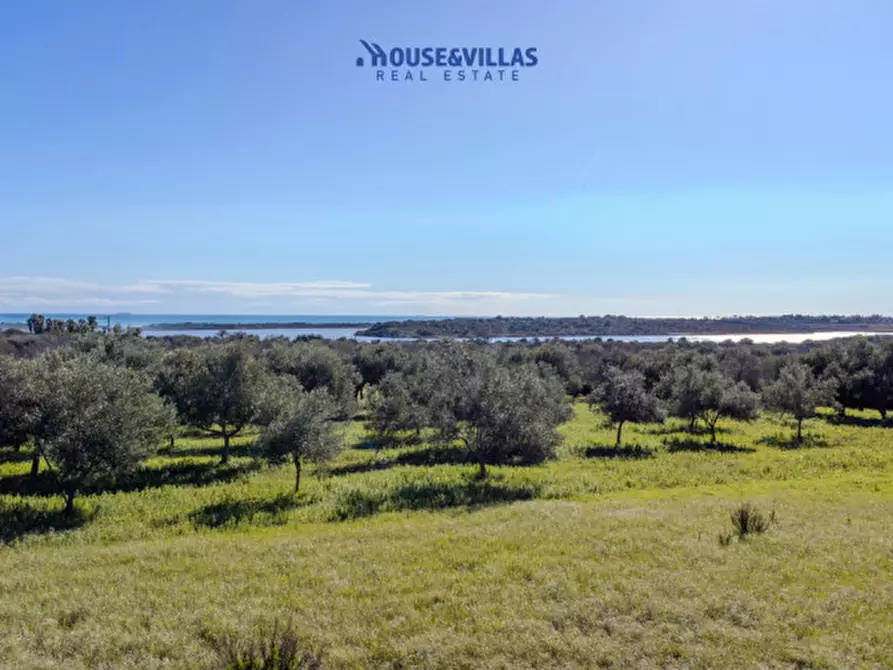 Immagine 2 di Villa in vendita  in vendicari noto a Noto