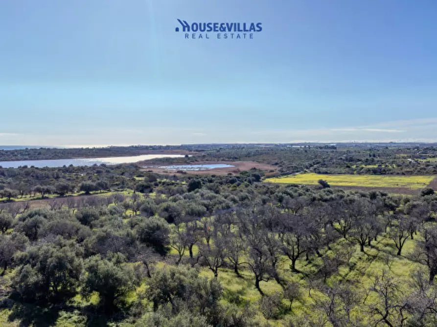 Immagine 10 di Villa in vendita  in vendicari noto a Noto
