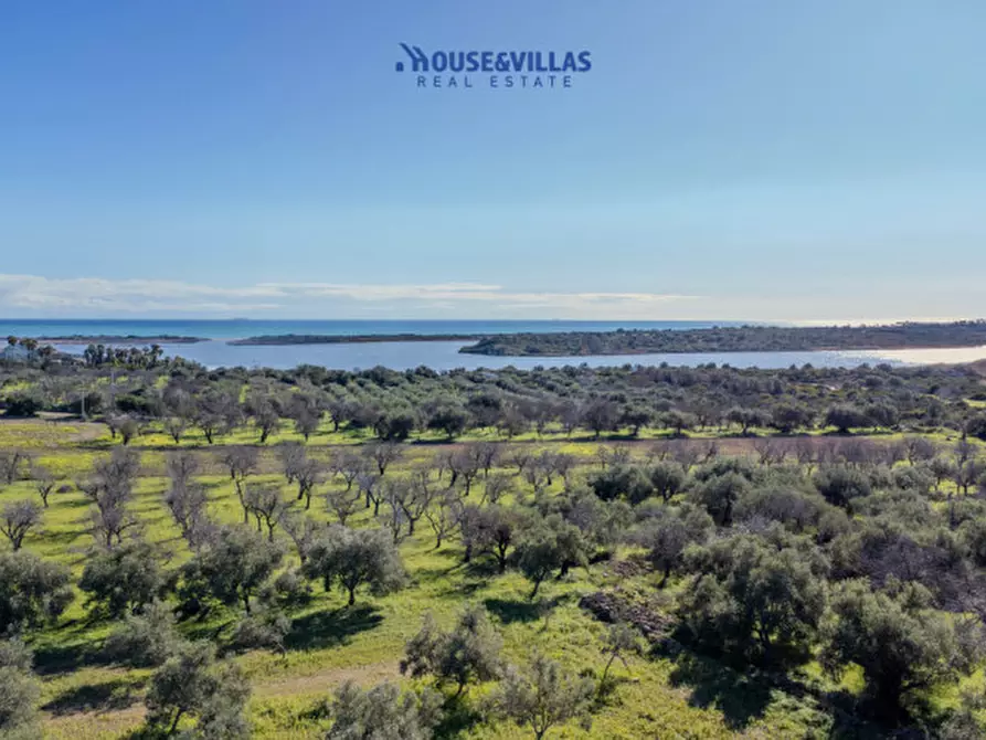 Immagine 11 di Villa in vendita  in vendicari noto a Noto