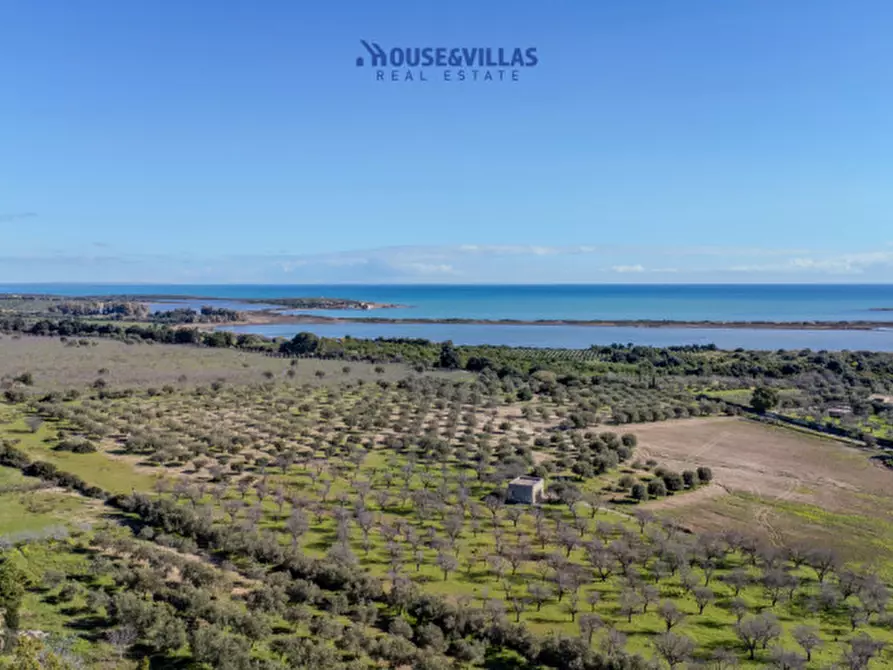Immagine 13 di Villa in vendita  in vendicari noto a Noto