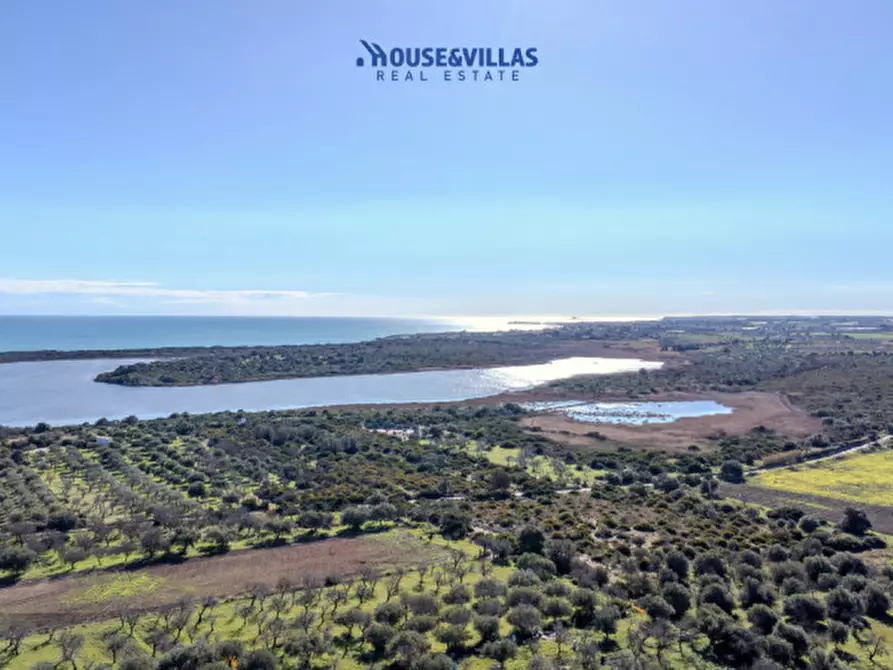 Immagine 14 di Villa in vendita  in vendicari noto a Noto