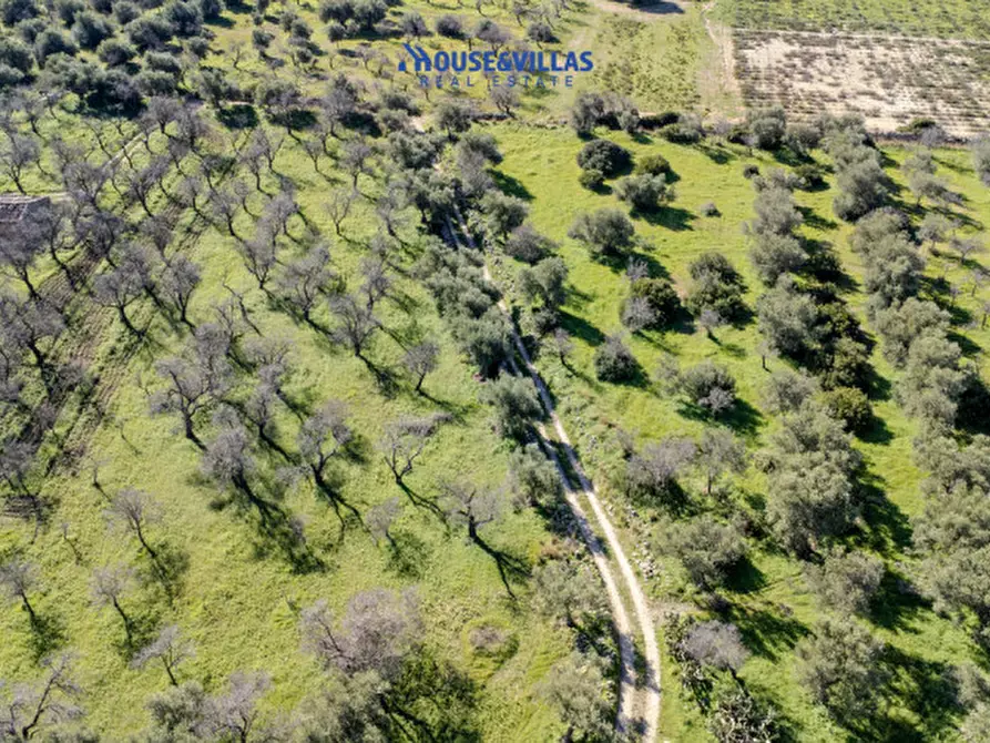 Immagine 18 di Villa in vendita  in vendicari noto a Noto