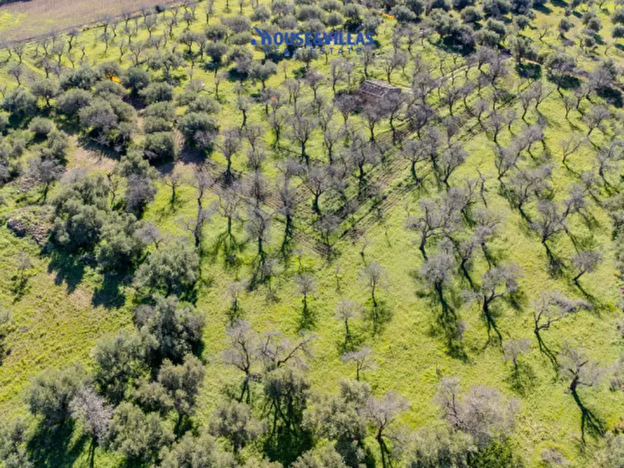 Immagine 19 di Villa in vendita  in vendicari noto a Noto